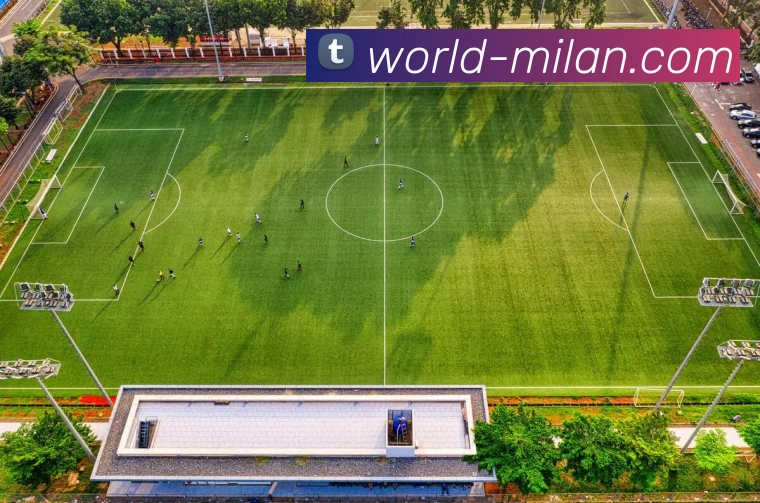 多媒体互动体验