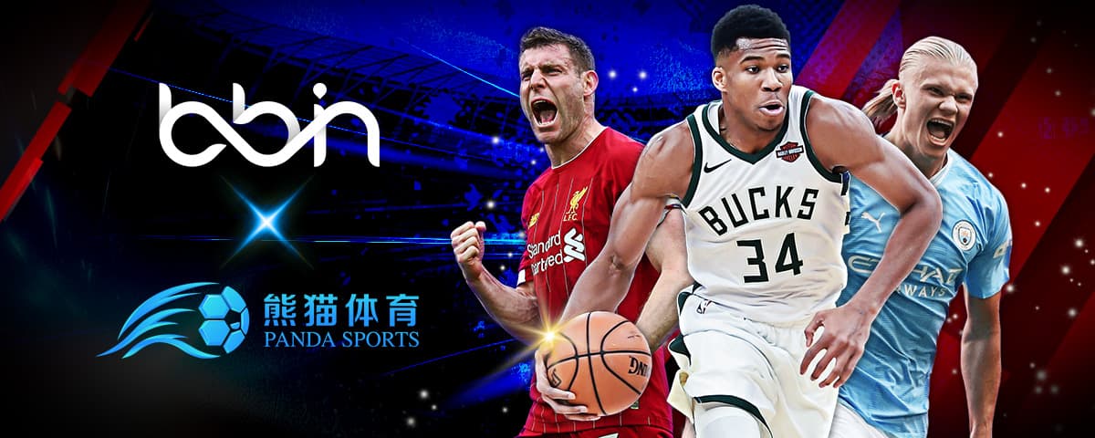 分析杨佳敏